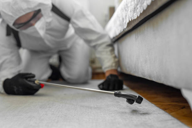 Professional Mosquito Control technician working in Crestwood Village, NJ