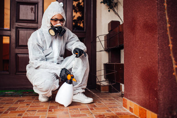 Reliable Mosquito Control contractor in Crestwood Village, NJ by Nex Pest Control