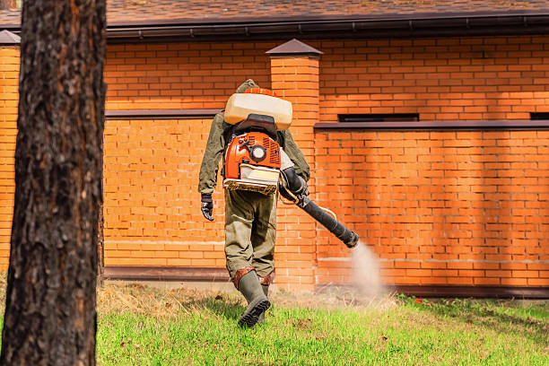 Trusted Emergency Pest Control service in Crestwood Village, NJ - Nex Pest Control
